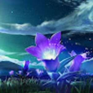 Meet your Posher, Farwa